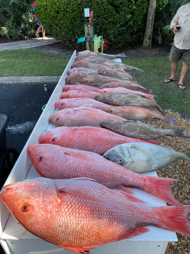 Extended Day Lunker Chase In Sarasota