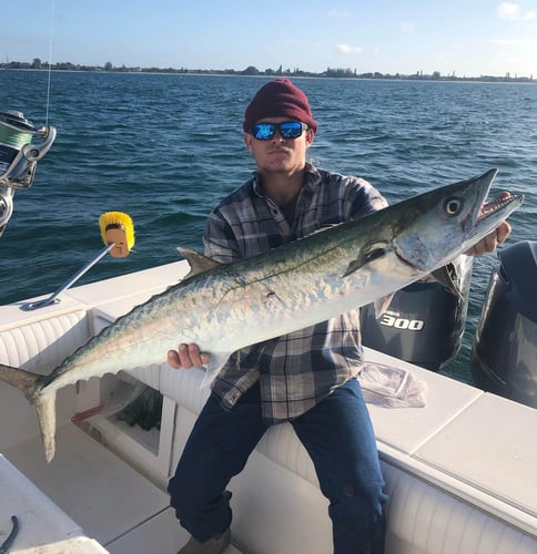 Sarasota Offshore Grocery Run in Sarasota