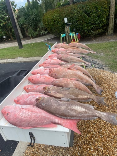 Sarasota Offshore Grocery Run in Sarasota
