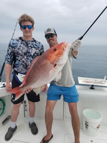 Red Snapper Trips In Orange Beach