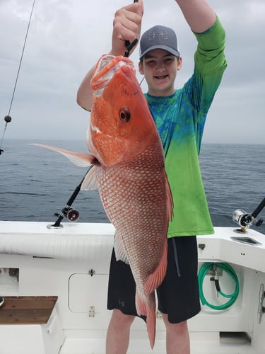 Red Snapper Trips In Orange Beach