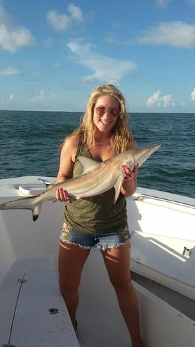 Shark Hunt In Galveston