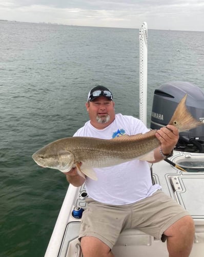 4-6 hour Inshore Trips - 25’ Tidewater