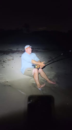 Monster Shark Trip in Fort Lauderdale