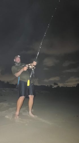 Monster Shark Trip In Fort Lauderdale