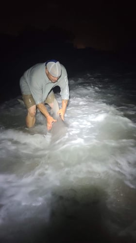 Monster Shark Trip In Fort Lauderdale