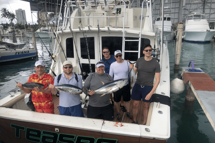 Caribbean Fishing Teaser In Punta Cana