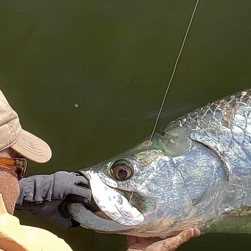 Caribbean Fishing Adventure In Carolina