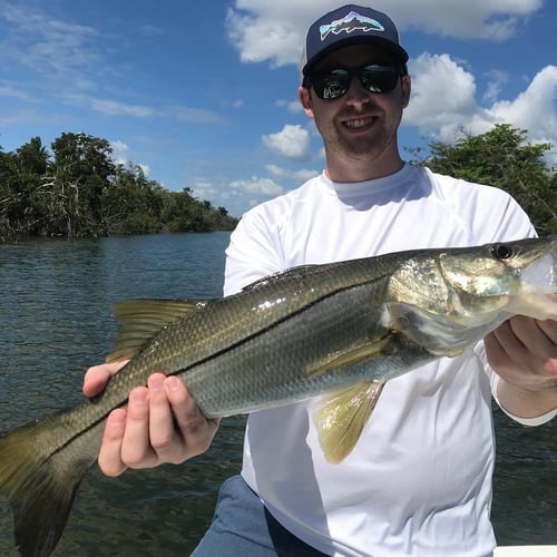 Tarpon And Snook Smash! - 16' In Carolina