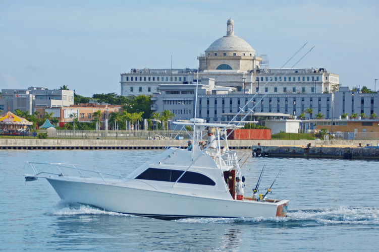 Caribbean Fishing Teaser in Caguas