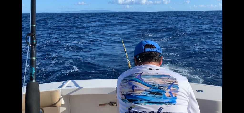 Caribbean Fishing Teaser In Punta Cana