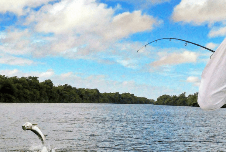 Carolina Inshore Action in Loiza