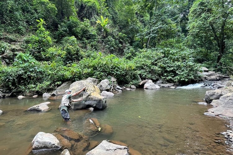 Kilimanjaro Trout Fishing in Machame