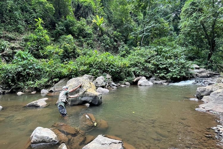 Kilimanjaro Trout Fishing In Machame