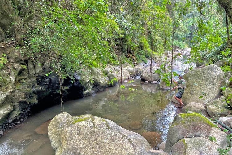 Kilimanjaro Trout Fishing in Machame