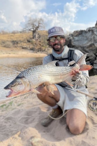 Tanzania Tiger Fish Safari in Dar es Salaam