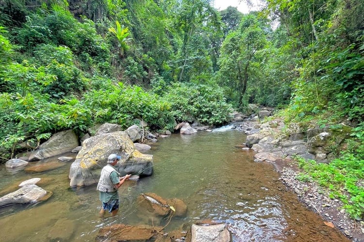 Kilimanjaro Trout Fishing in Machame