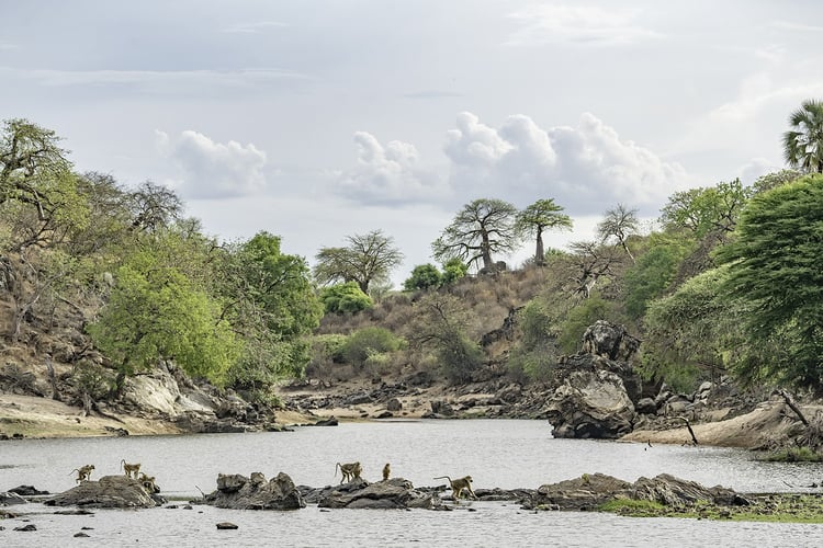 Tanzania Tiger Fish Safari in Dar es Salaam
