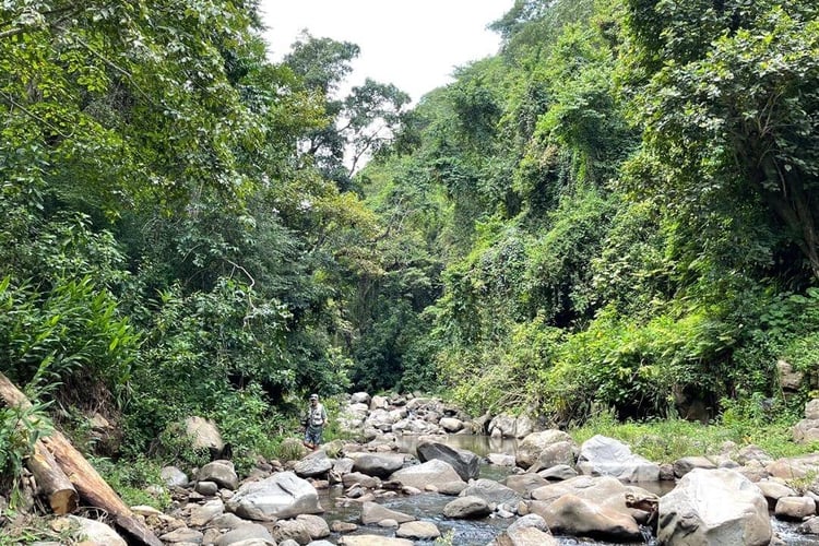 Kilimanjaro Trout Fishing in Machame