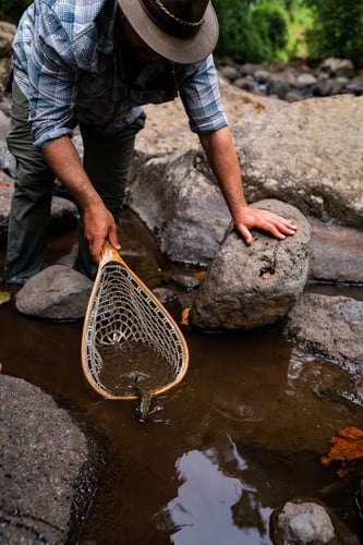 Kilimanjaro Trout Fishing in Machame