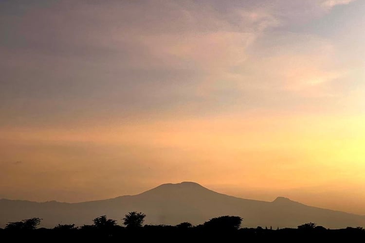 Kilimanjaro Trout Fishing In Machame