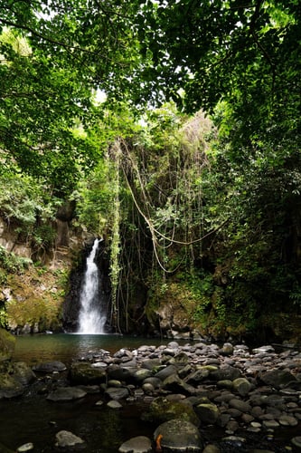 Kilimanjaro Trout Fishing in Machame