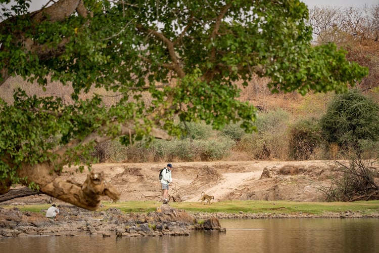Tanzania Tiger Fish Safari in Dar es Salaam