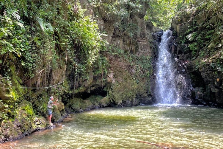 Kilimanjaro Trout Fishing In Machame