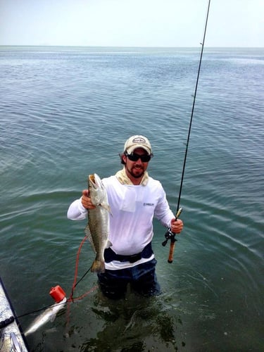 Texas Gulf Coast Inshore Action in Rockport
