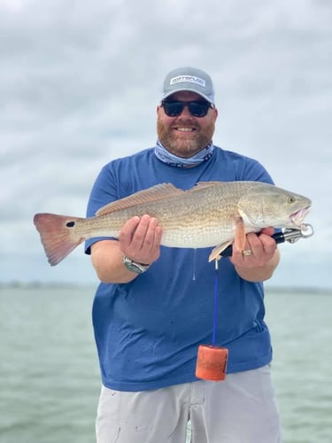 Texas Gulf Coast Inshore Action in Rockport