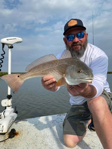 Texas Gulf Coast Inshore Action in Rockport
