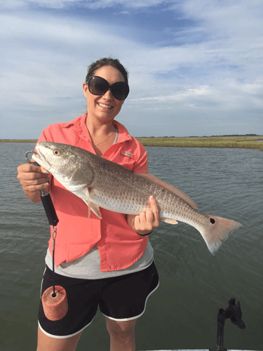 Texas Gulf Coast Inshore Action In Rockport