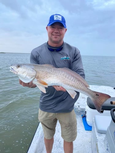 Texas Gulf Coast Inshore Action in Rockport