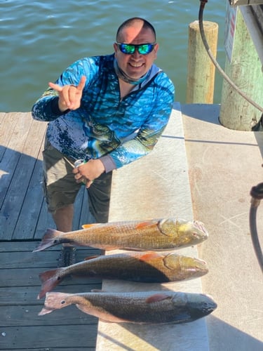 Texas Gulf Coast Inshore Action in Rockport