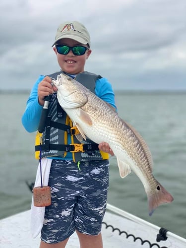 Texas Gulf Coast Inshore Action in Rockport