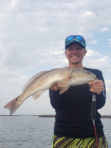 Texas Gulf Coast Inshore Action in Rockport