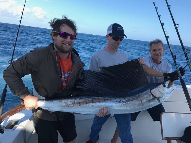 Full Day Trip Offshore - 50' Tom Fexas
