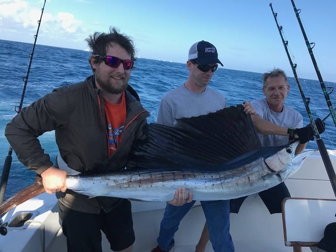 Full Day Offshore Fishing Trip In Riviera Beach