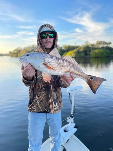 NE Florida Inshore Frenzy In Flagler Beach