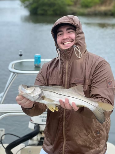 NE Florida Inshore Frenzy In Flagler Beach