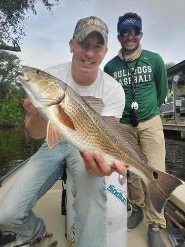 NE Florida Inshore Frenzy In Flagler Beach