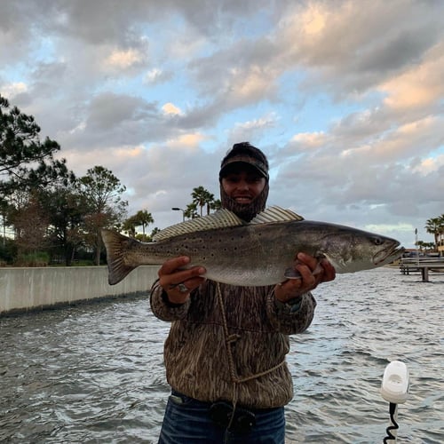 NE Florida Inshore Frenzy In Flagler Beach