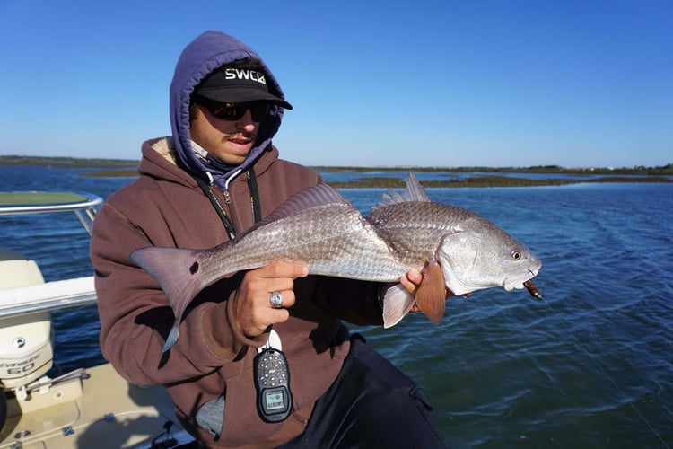 NE Florida Inshore Frenzy In Flagler Beach