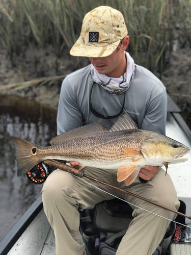 NE Florida Inshore Frenzy in Flagler Beach