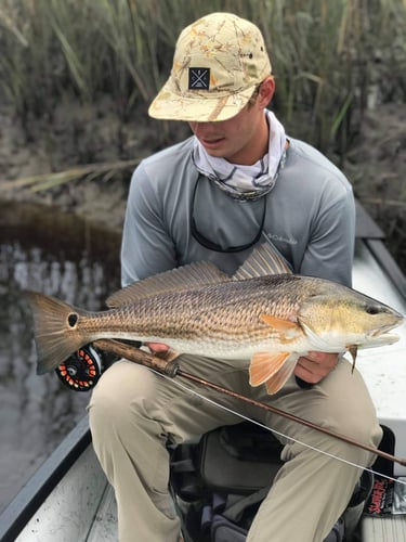 NE Florida Inshore Frenzy In Flagler Beach