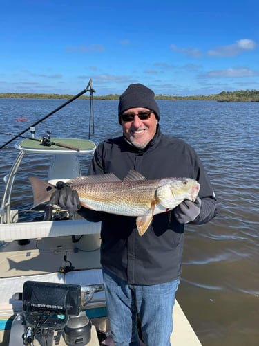 NE Florida Inshore Frenzy In Flagler Beach