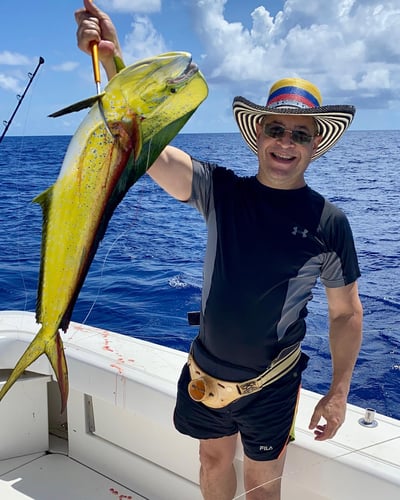 Deep Sea Fishing - 40' Vixen In Punta Cana