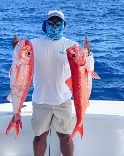 Deep Sea Fishing - 40' Vixen In Punta Cana