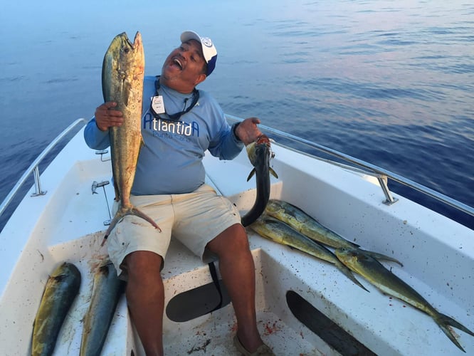 Punta Cana Deep Sea Fishing In Punta Cana