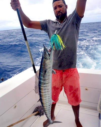 Deep Sea Fishing - 40' Vixen In Punta Cana